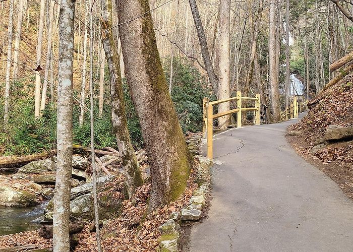 Anna Ruby Falls photo