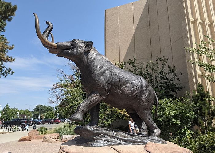 Denver Museum of Nature and Science photo