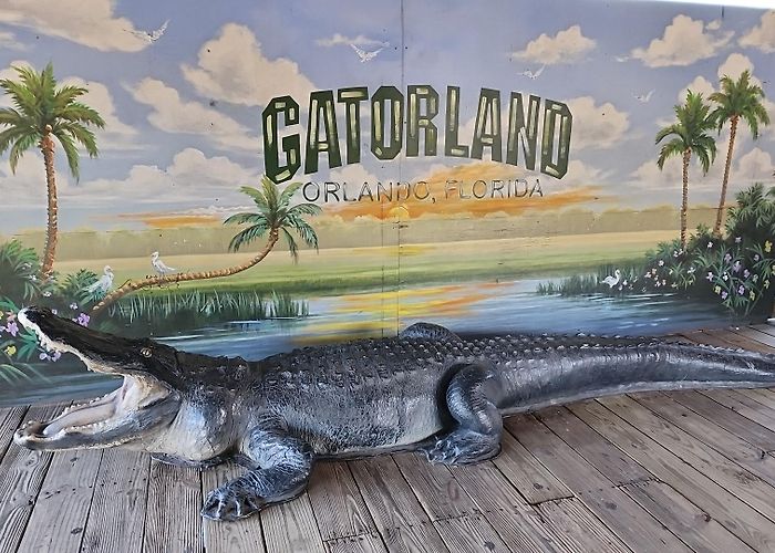 Gatorland photo