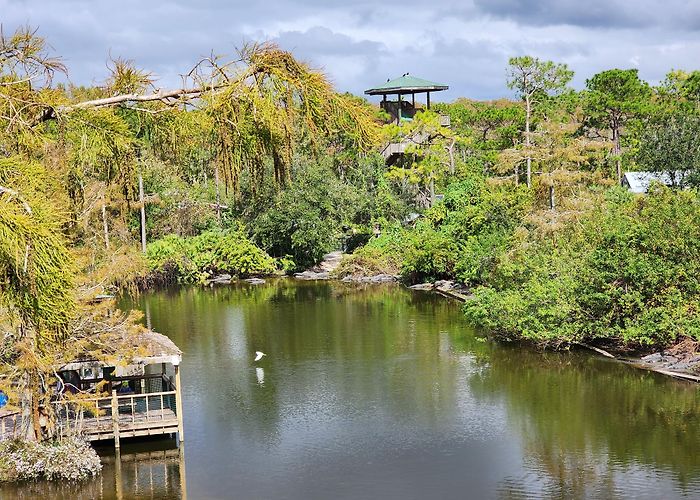 Gatorland photo