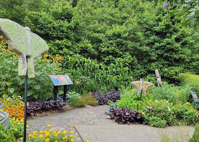 North Carolina Arboretum photo