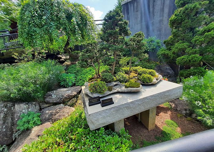 North Carolina Arboretum photo