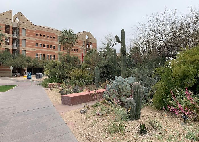 University of Arizona photo