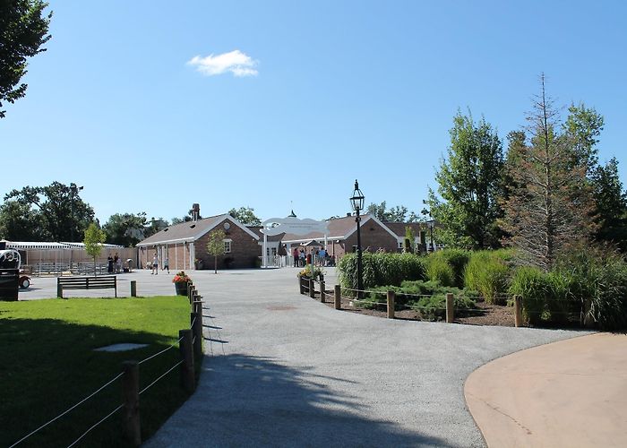 The Buffalo Zoo photo