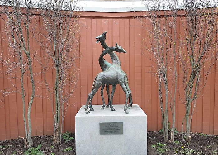 The Buffalo Zoo photo