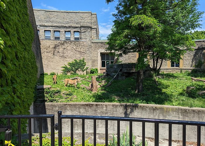 The Buffalo Zoo photo