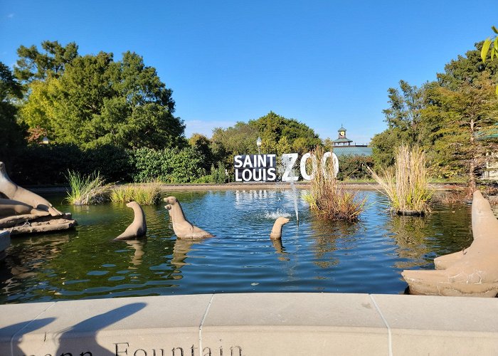 Saint Louis Zoo photo