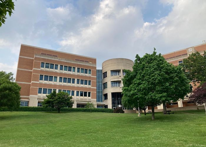 University of Arkansas - Fayetteville photo