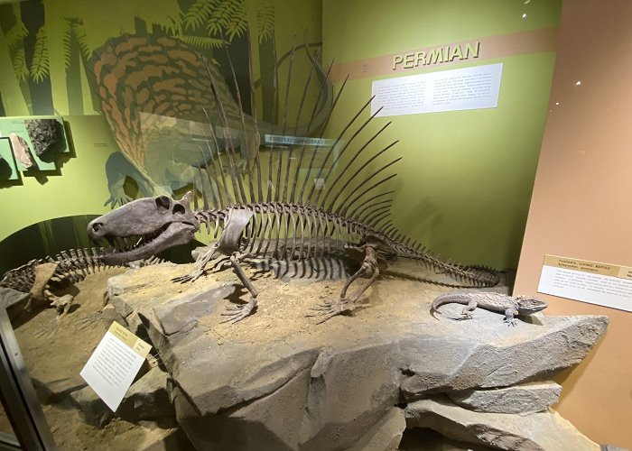 Cleveland Museum of Natural History photo