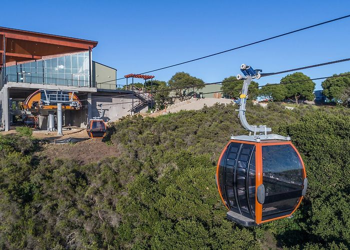 Oakland Zoo Oakland Zoo California Trail - Overaa Construction photo