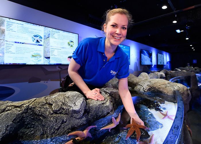 The London Aquarium Sea Life Aquarium | Attractions | Big City Saver London photo