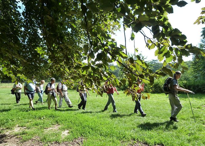 Le parc de Sceaux Randonnée du Parc de Sceaux à Châtillon-Montrouge - 10,6 km ... photo