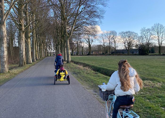 National Park Drents-Friese Wold More than Amsterdam: travel in quieter parts of the Netherlands ... photo