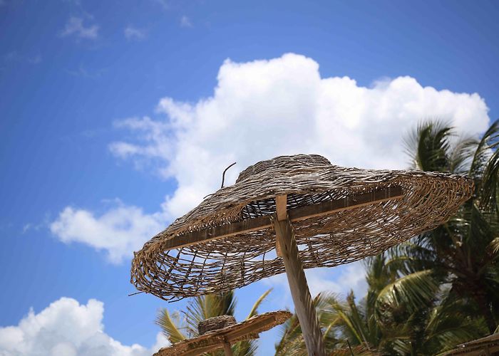 Nativos Beach Nativos Beach in Porto Seguro - Tours and Activities | Expedia photo