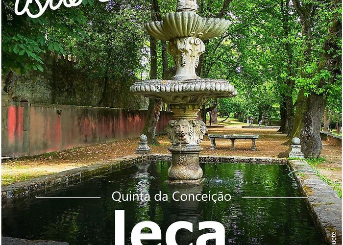 Quinta da Conceicao Garden Quinta da Conceição | Camara municipal, Matosinhos, Palmeira photo