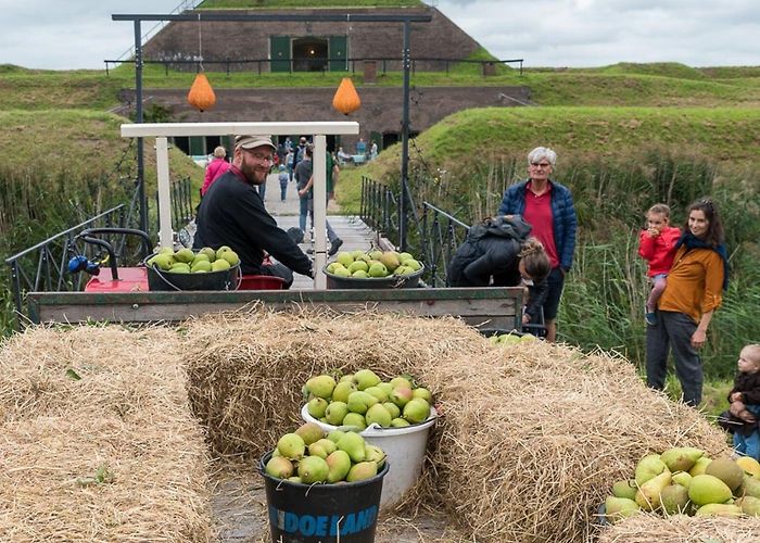 Werk aan de Waalse Wetering Hoogstamplukdag op het Werk aan de Waalse Wetering - Houtens ... photo