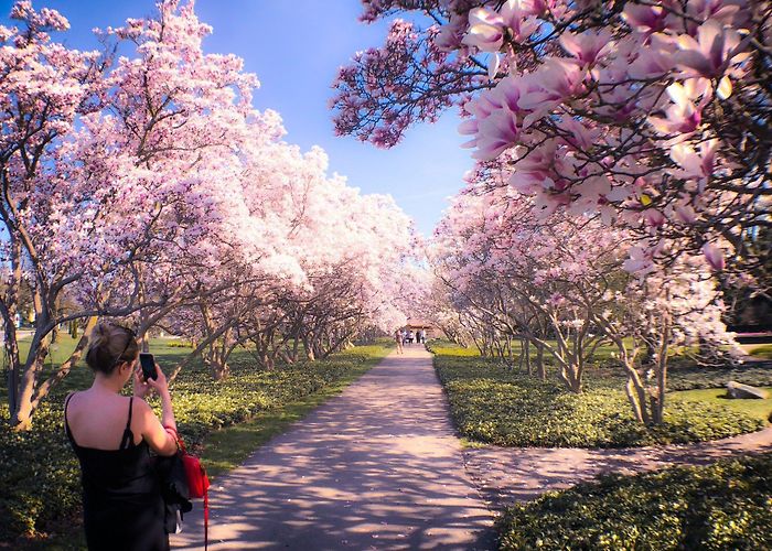 Botanical Gardens Outdoor Recreation | Niagara Falls Canada photo