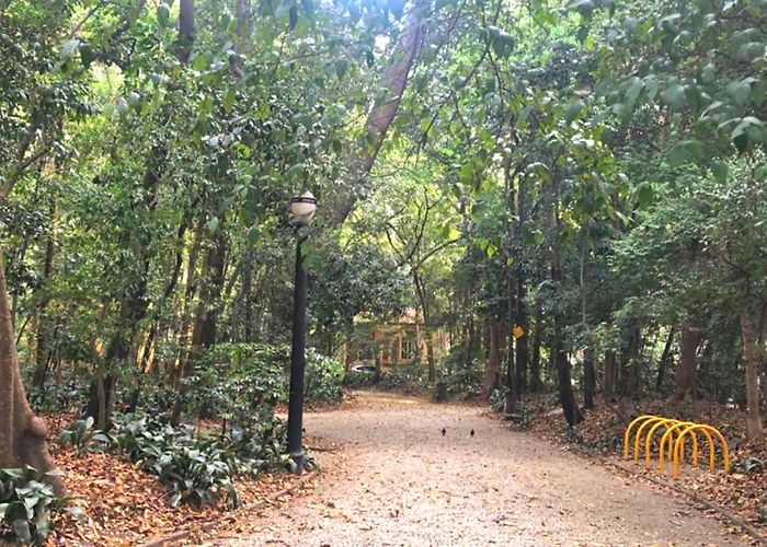 Parque Tenente Siqueira Campos (parque Trianon) Parque Trianon » São Paulo audio guide app » VoiceMap photo