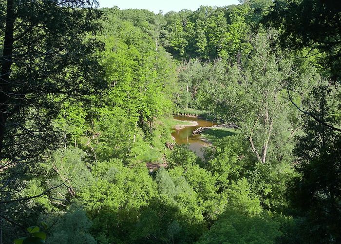 Bronte Creek Provincial Park Bronte Creek Provincial Park - Halton, Ontario, Canada - Birding ... photo