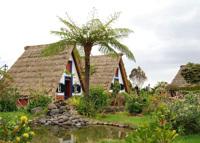 Santana's traditional houses Santana: Magical East Coast Full-Day Tour photo