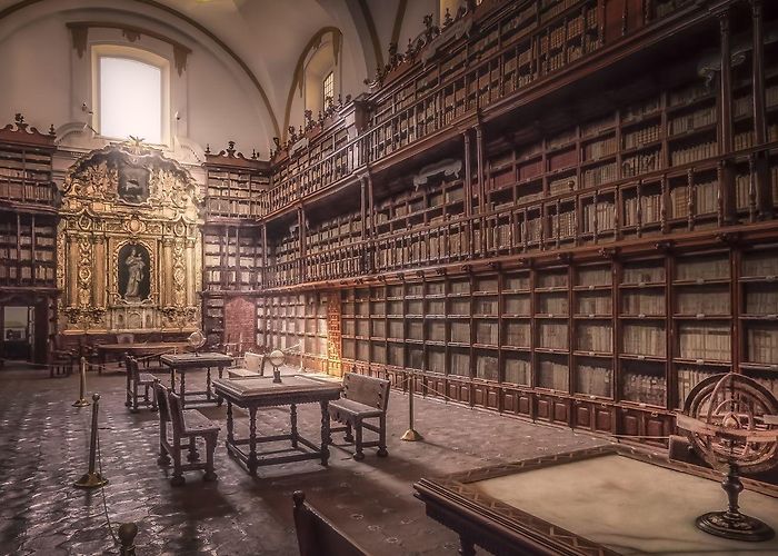 Biblioteca Palafoxiana Strong DA vibes. This is the Biblioteca Palafoxiana in Puebla ... photo