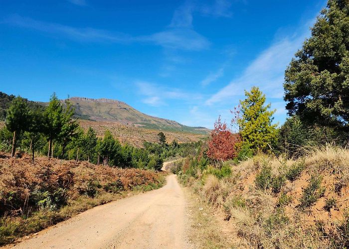 Eco Shrine Hogsback Eco-Shrine: Harmony with the Natural World - New Places To Go photo