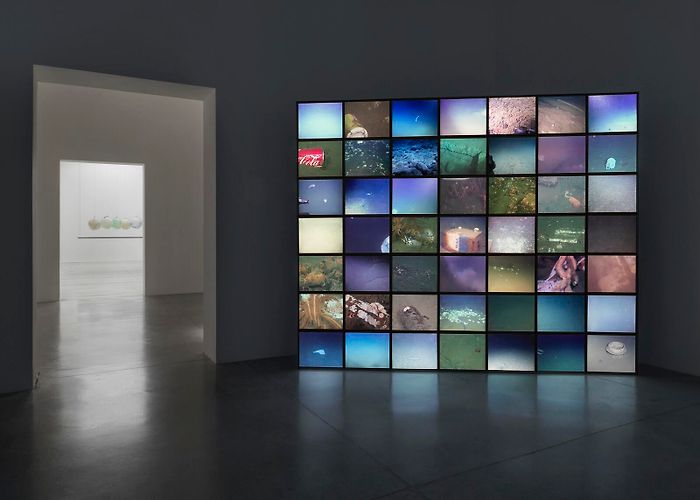 Mambo Julian Charrière photo