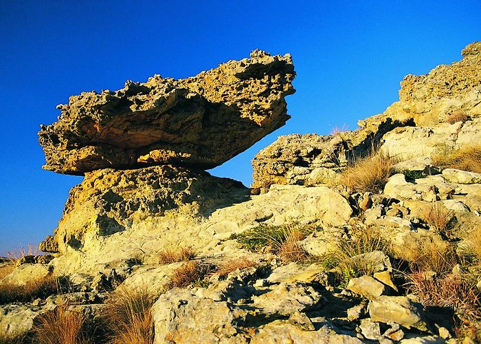 Golden Gate Highlands National Park Visit Golden Gate Highlands National Park: 2024 Travel Guide for ... photo