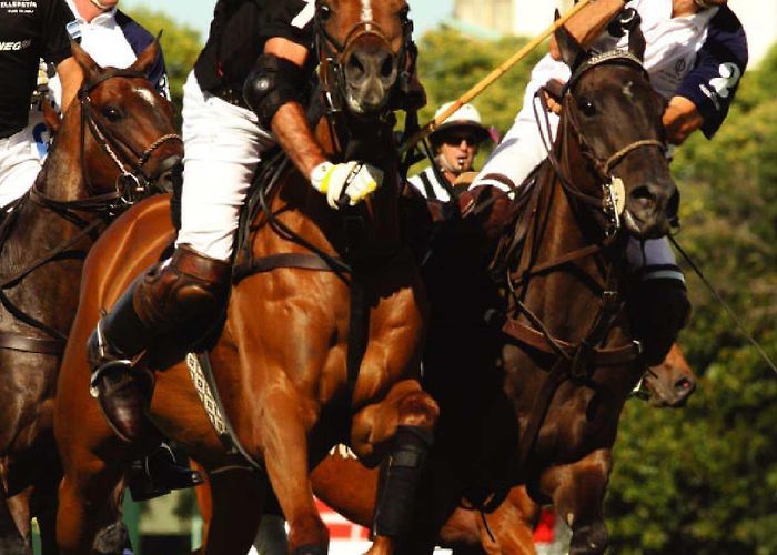 Winge G & CC Calaméo - PQ international | Winter issue 2008 #65 photo