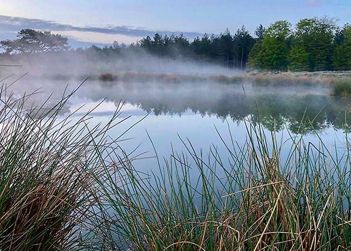 Nieuw Soerel Veluwe in the Netherlands: The Best Things to See and Do photo