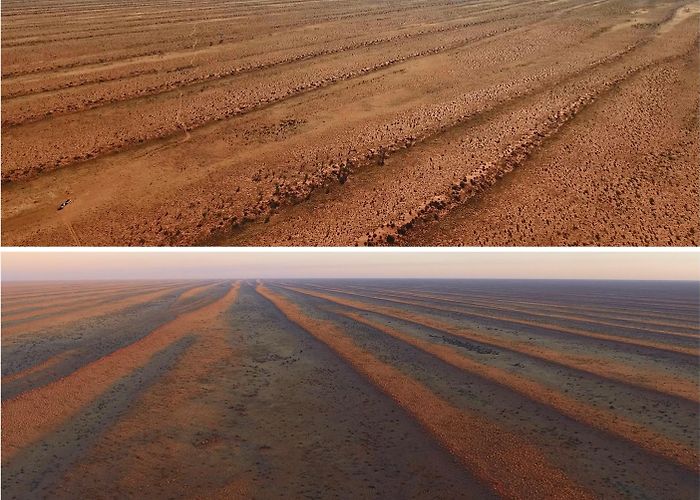 Centro Nacional Patagonico CeNPat drylands – stephentooth photo