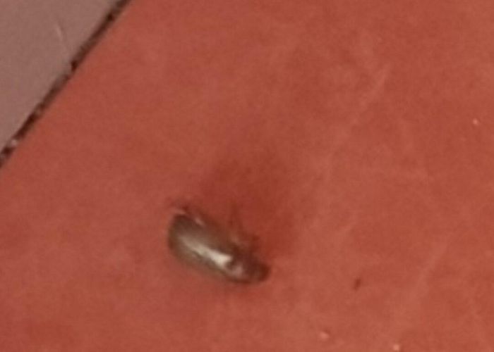 Le Rigolou HOTEL MISTER BED ORLEANS SARAN $37 ($̶5̶5̶) - Prices & Reviews ... photo