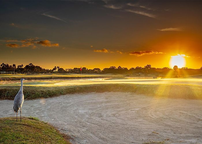 Remington Golf Club Home - Remington Golf Club photo