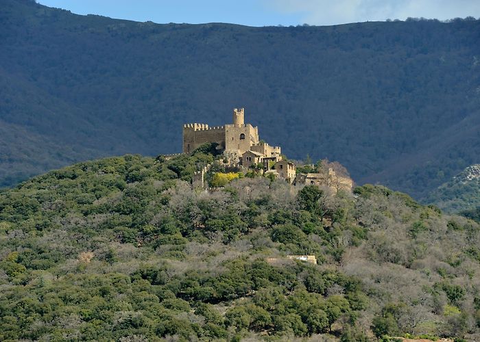 Castell de Requesens Requesens Castle Tours - Book Now | Expedia photo