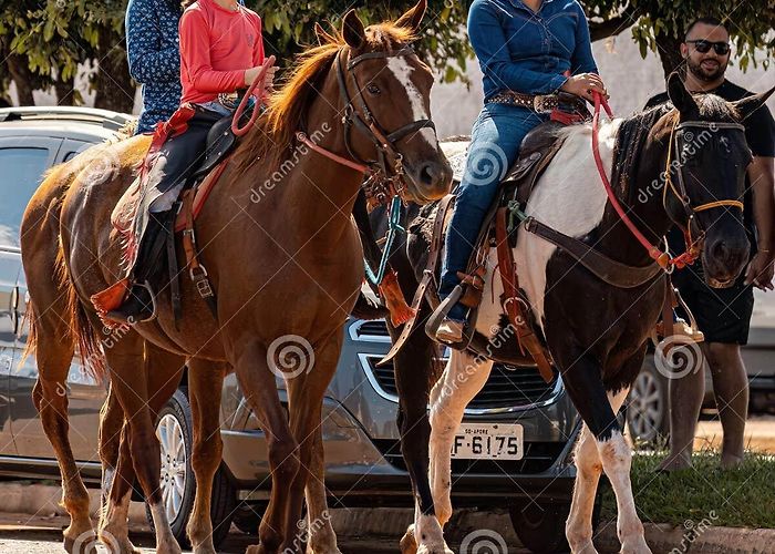Ecocenter - IPEC 6,035 Goias Fotos de stock - Fotos libres de regalías de ... photo