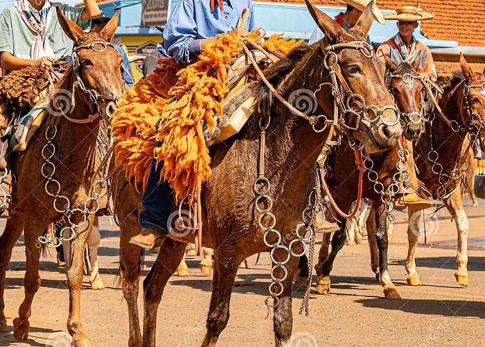 Ecocenter - IPEC 6,035 Goias Fotos de stock - Fotos libres de regalías de ... photo