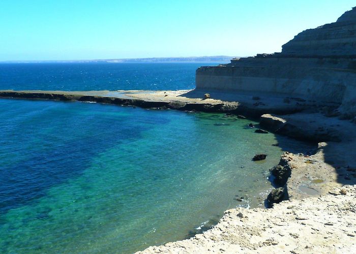 Arrieros Patagonicos HOTEL CARRERA - Reviews (Puerto Madryn, Argentina) photo