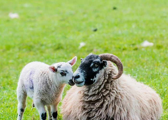 National Museum of Rural Life National Museum of Rural Life, East Kilbride. Photo © Sean Bell 06 photo