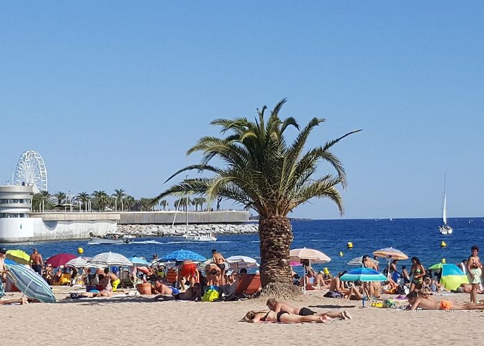 Fréjus Plage Fréjus Beach Tours - Book Now | Expedia photo
