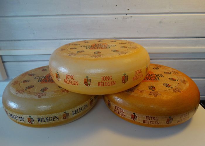 L'Etoile Lebber Vintage® Ø 35 Cm Fake Gouda Cheese, Fake Cheese - Etsy UK photo