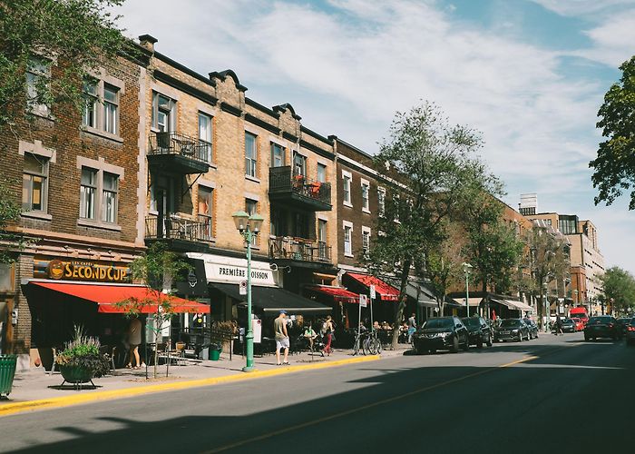 Outremont Districts of Montreal - Outremont - Genest & Marinacci photo