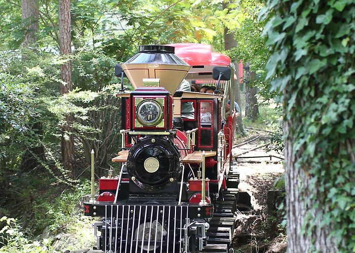 Birmingham Zoo Birmingham Zoo and Red Diamond Coffee & Tea Introduce New Electric ... photo