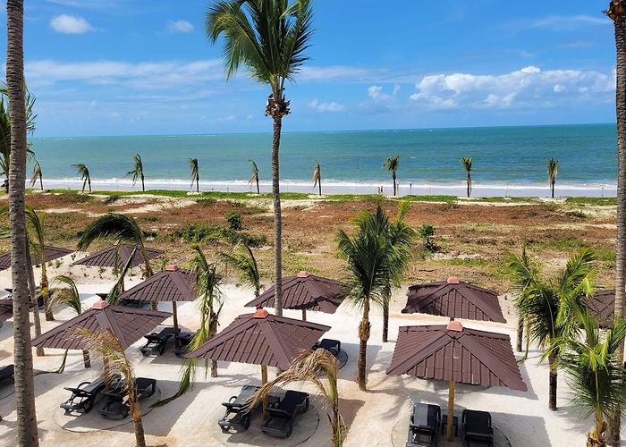 Carro Quebrado Beach Litoral de Alagoas promove Réveillon 'de novela' - 28/09/2022 ... photo