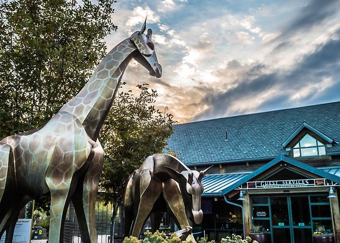 Denver Zoo Denver Zoo – Zoo Review | Condé Nast Traveler photo