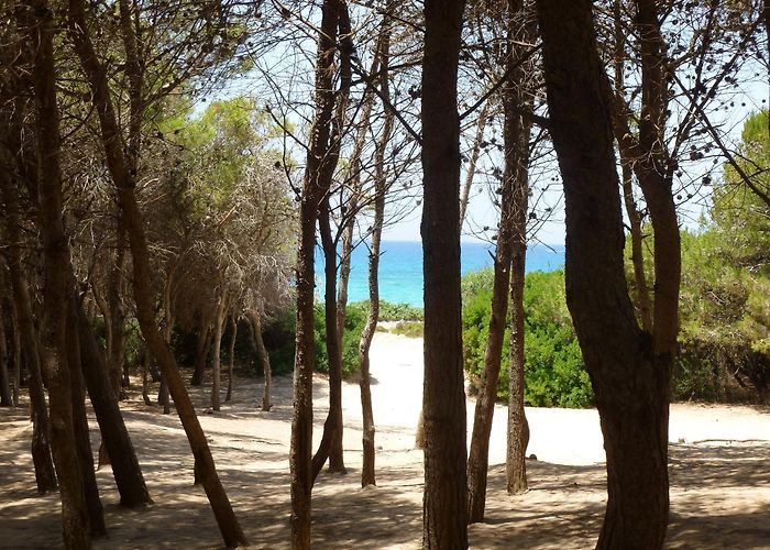 Lido Conchiglie Beach Punta Suina Beach Tours - Book Now | Expedia photo