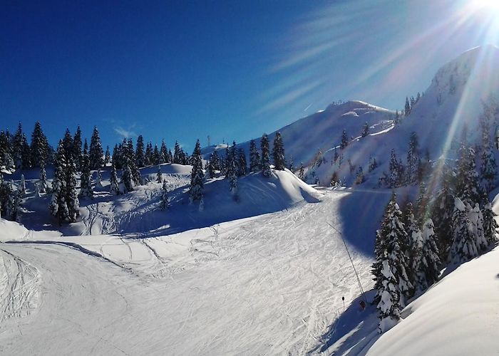 Santel-Meriz Active holiday | Hotel Fai della Paganella | Brenta Dolomites ... photo