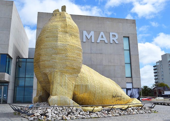 Museo del Mar Semana Santa en Mar del Plata: todas las actividades para hacer en ... photo
