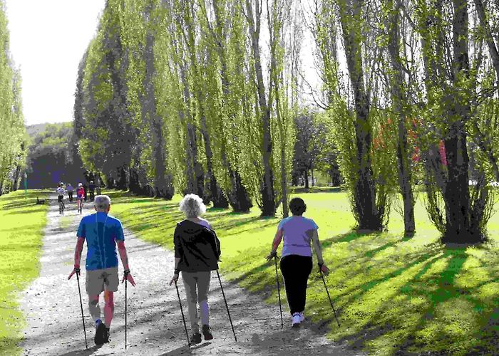 Cure de Saint Jacques Je suis pélerin - Grand Châtellerault Tourisme photo