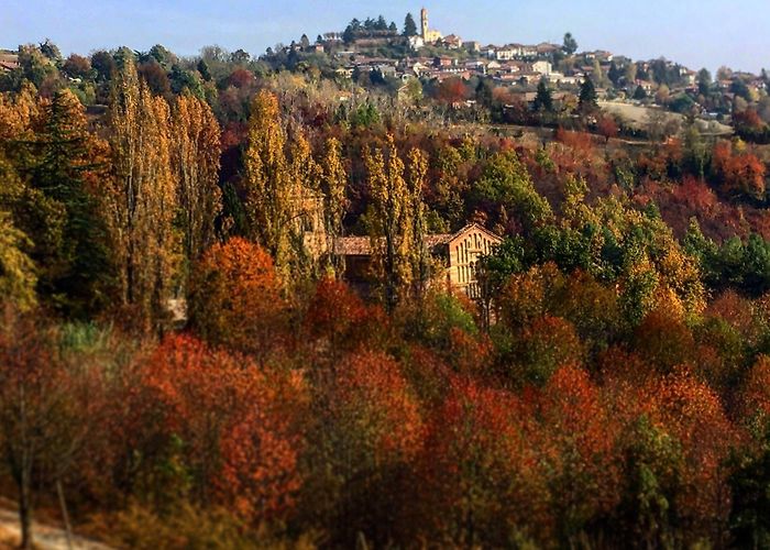 I Ciliegi Golf Club Abbazia di Santa Maria di Vezzolano a Albugnano: Tour e Visite ... photo
