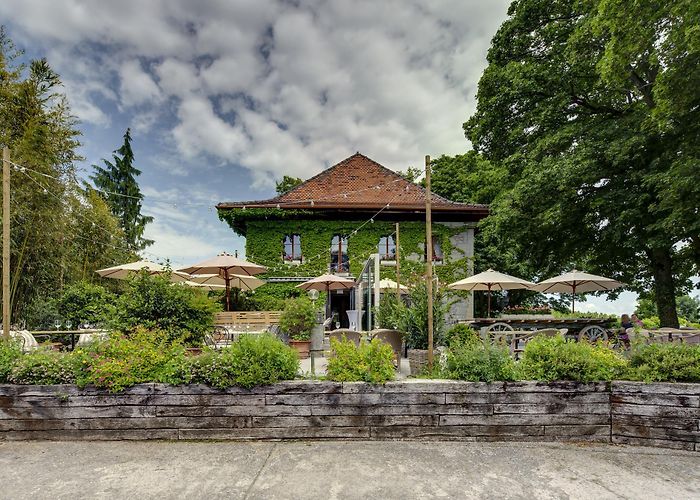 Payerne Golf Club Restaurant du Golf | myvaud photo